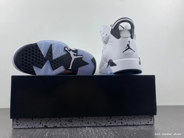 Rep LUCY Jordan Oreo 6 Reverse Air CT8529-112 0701